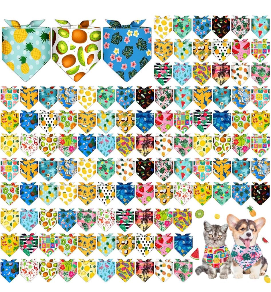 Bandana 50 Pack