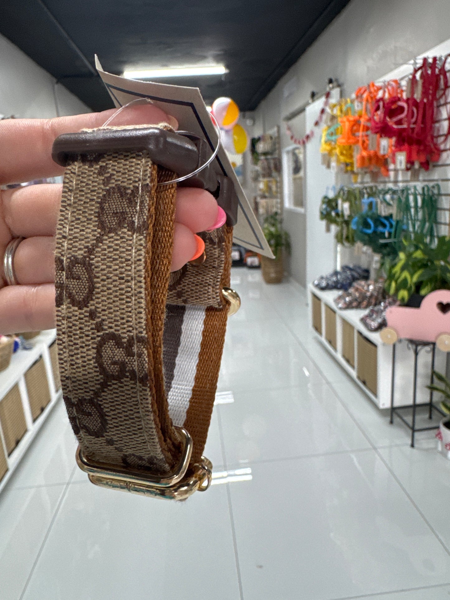 Gucci Brown Collar