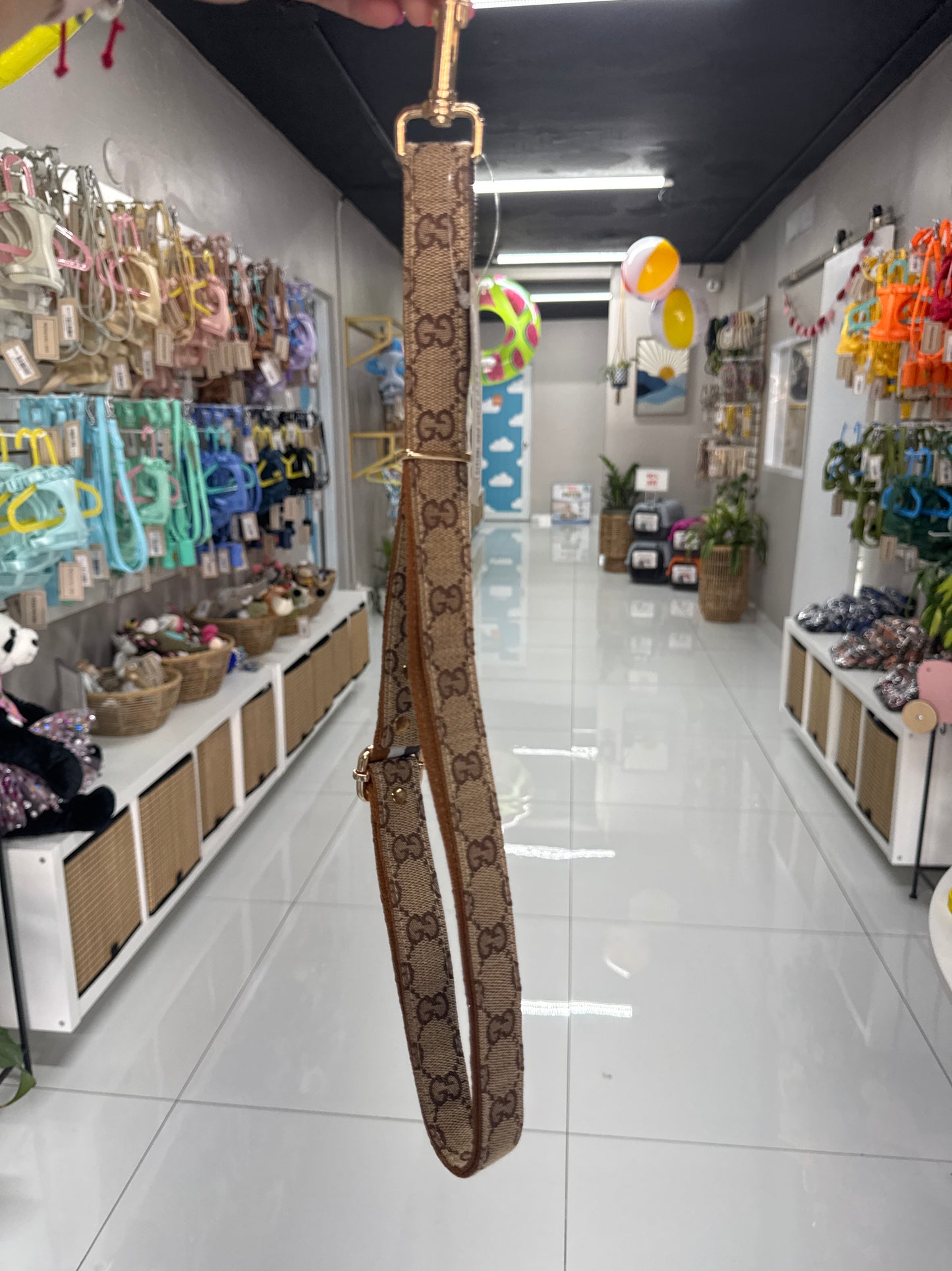 Gucci Brown Leash