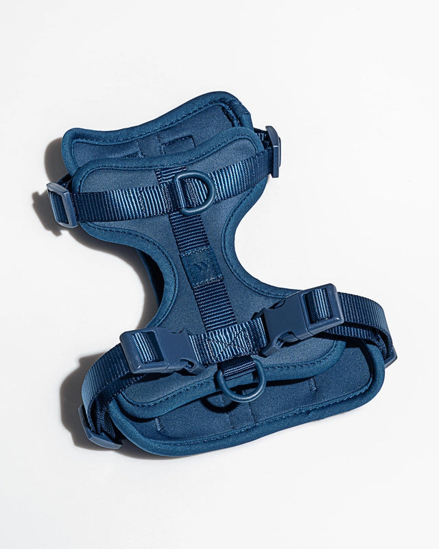 PVC Harness: Navy Blue