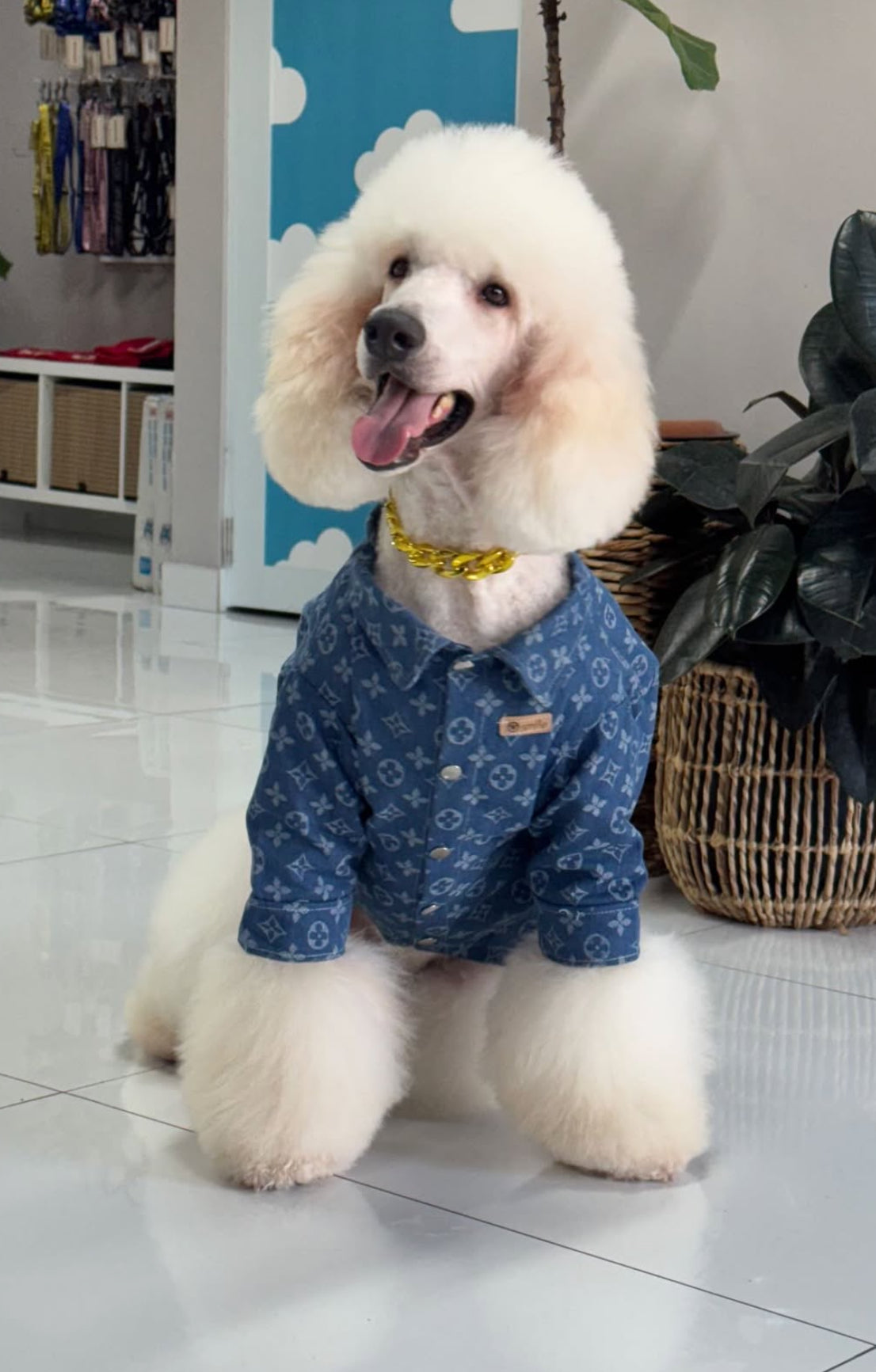 Button Shirt LV