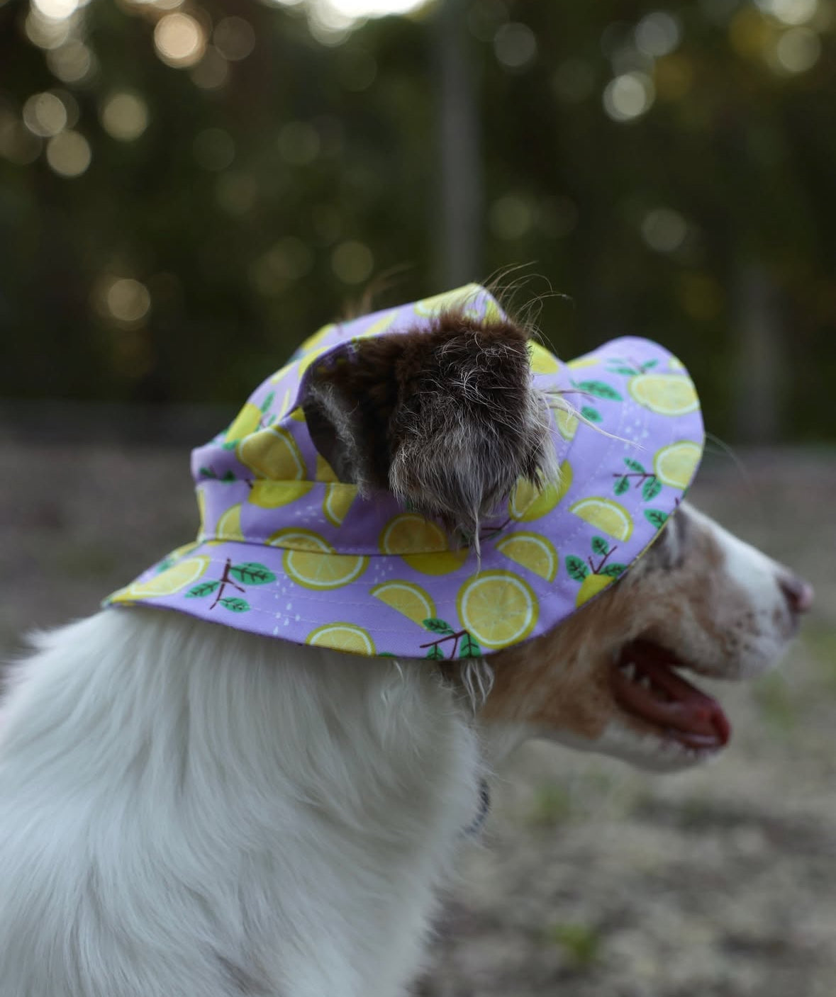Bucket Hat: Lemon