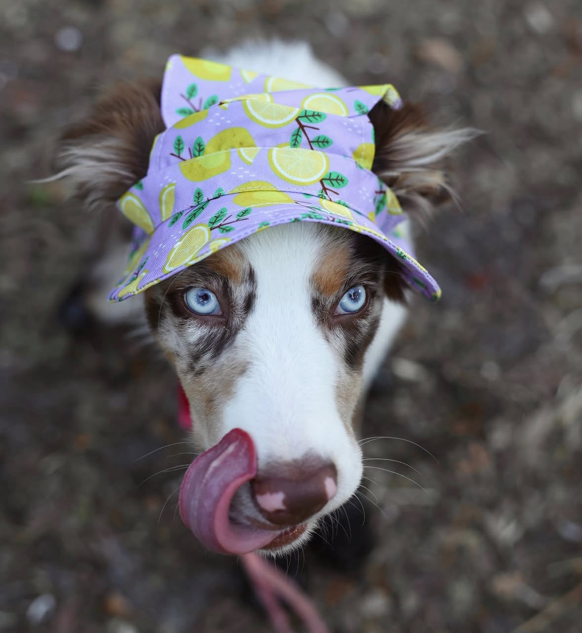 Bucket Hat: Lemon