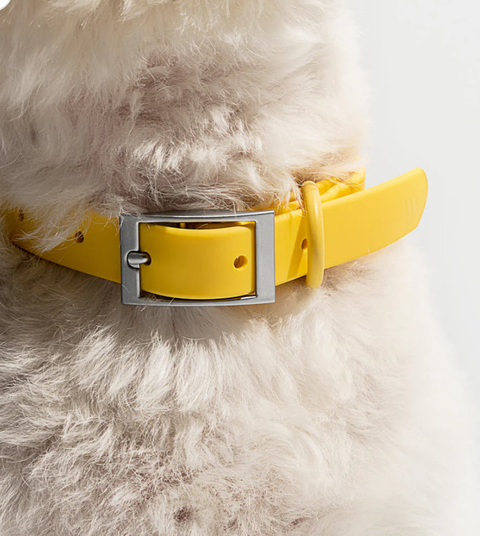 PVC Collar: Yellow