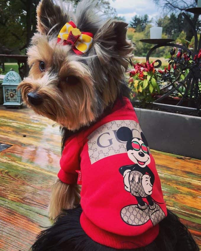 Mickey Gucci T-Shirt: Red