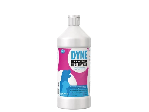 Dyne: High Calorie Gel With Probiotic