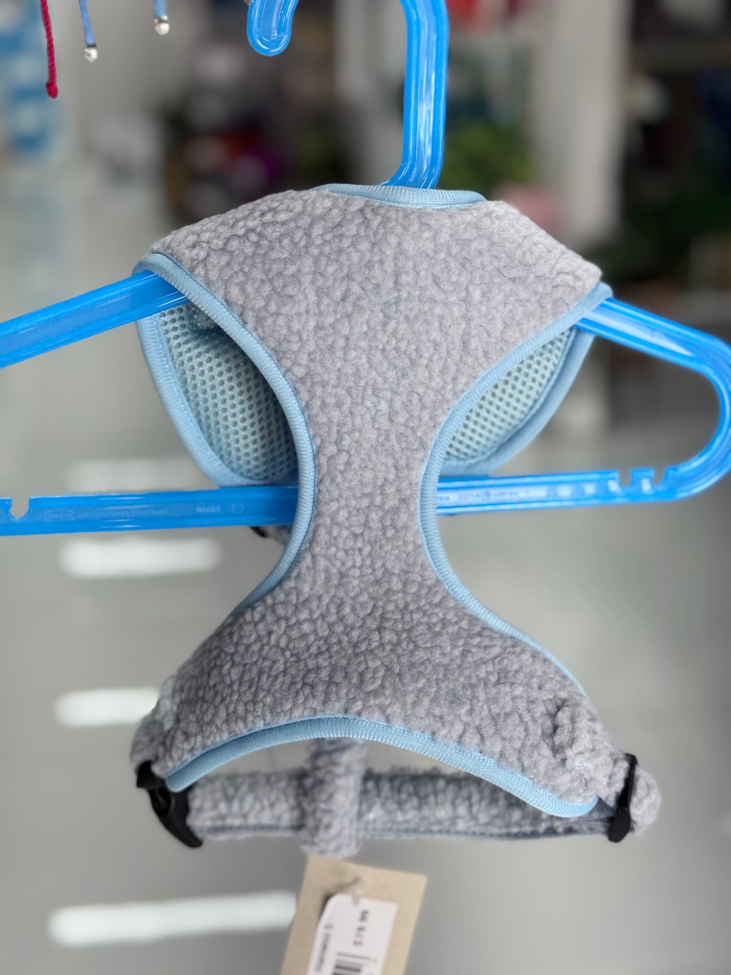 Teddy Blue Harness