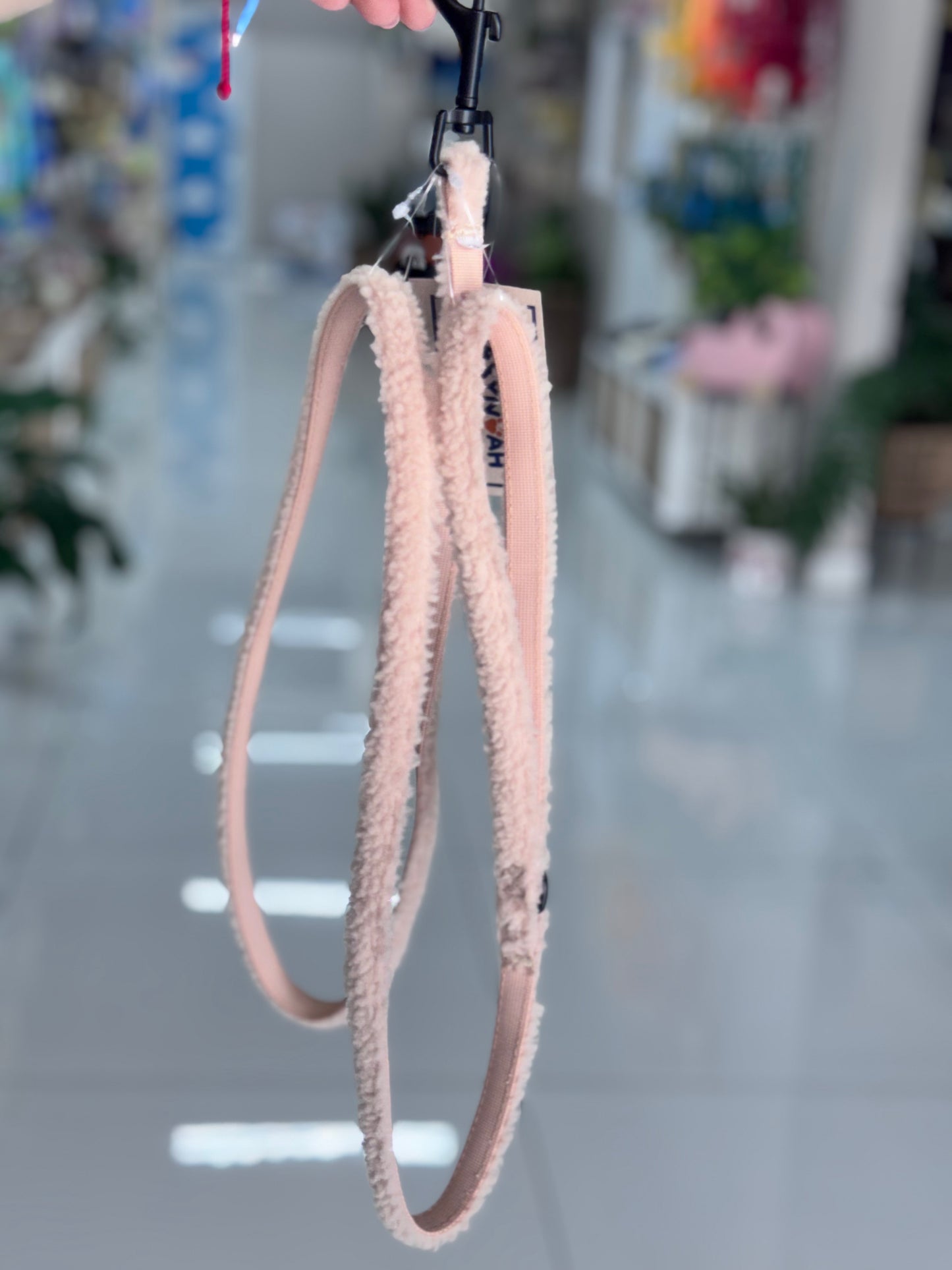 Teddy Cream Leash