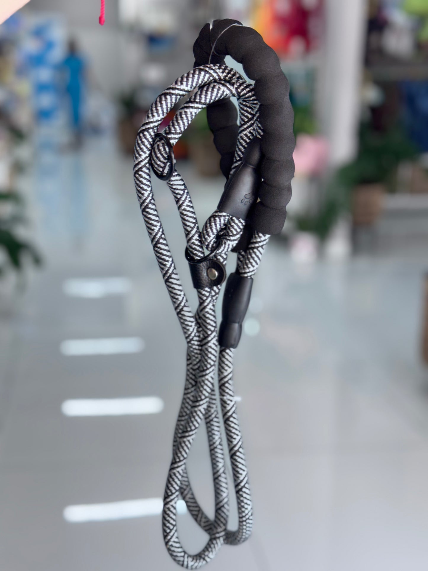 Leash/Collar Nylon