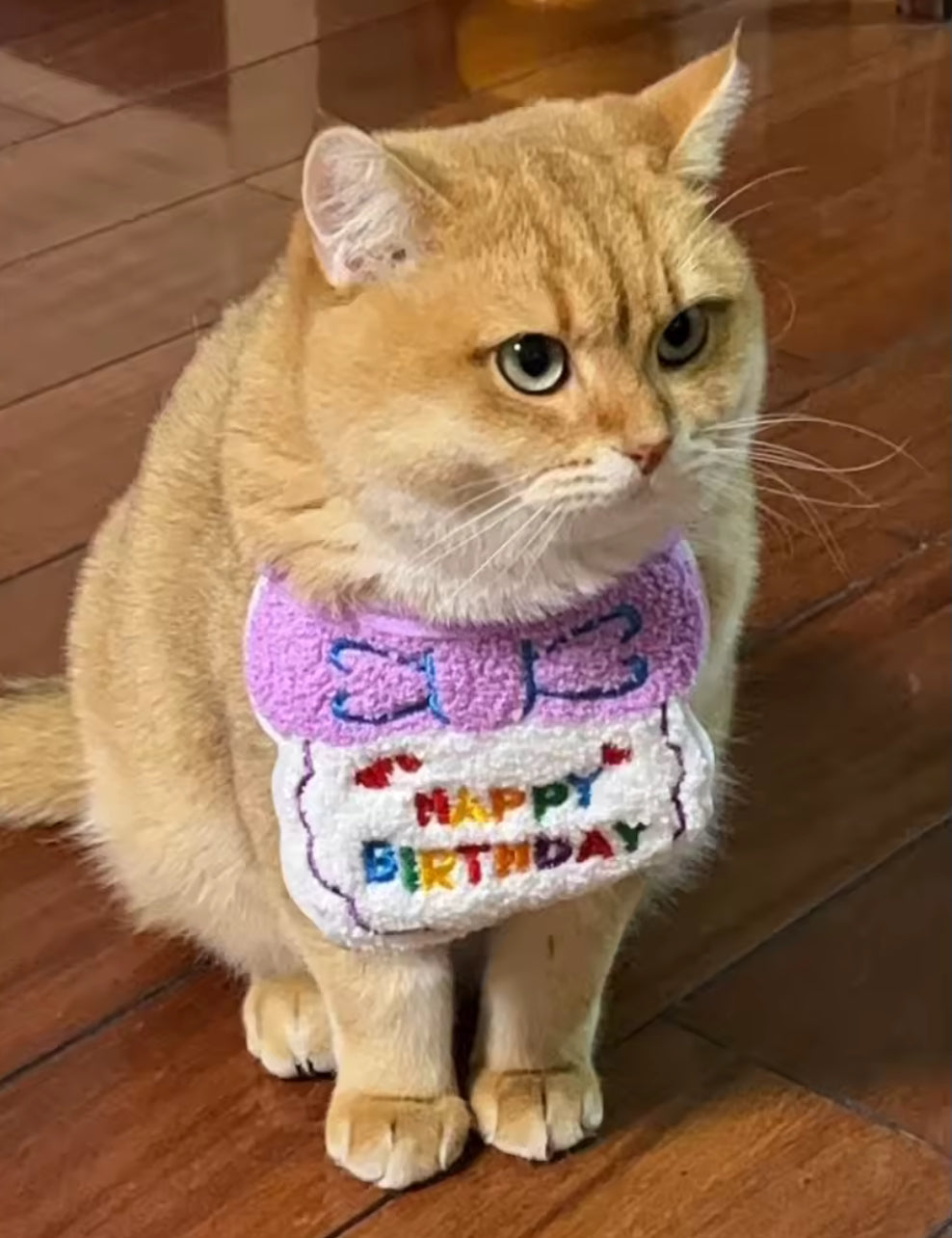 Birthday Bibs
