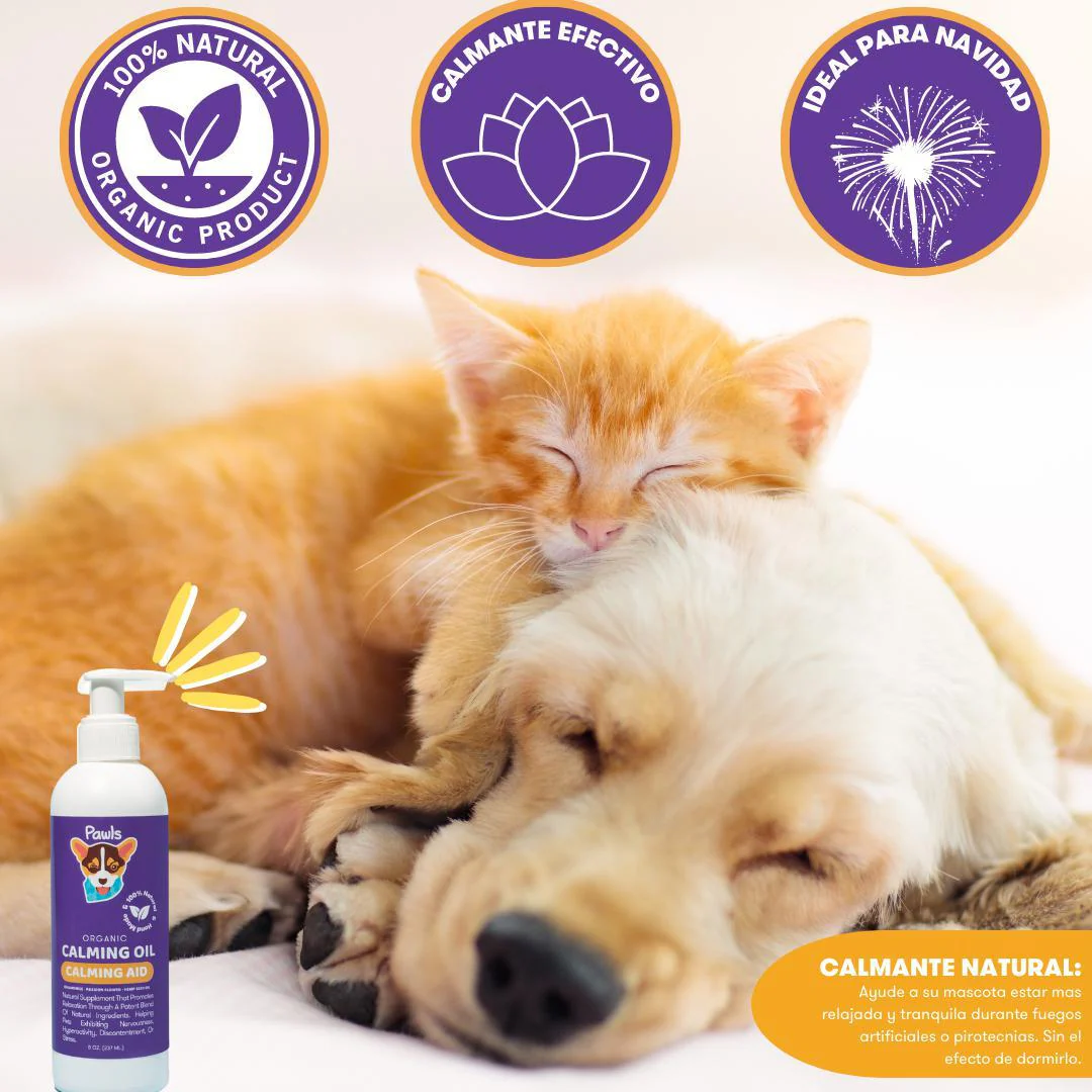 Pawls: Calming Oil