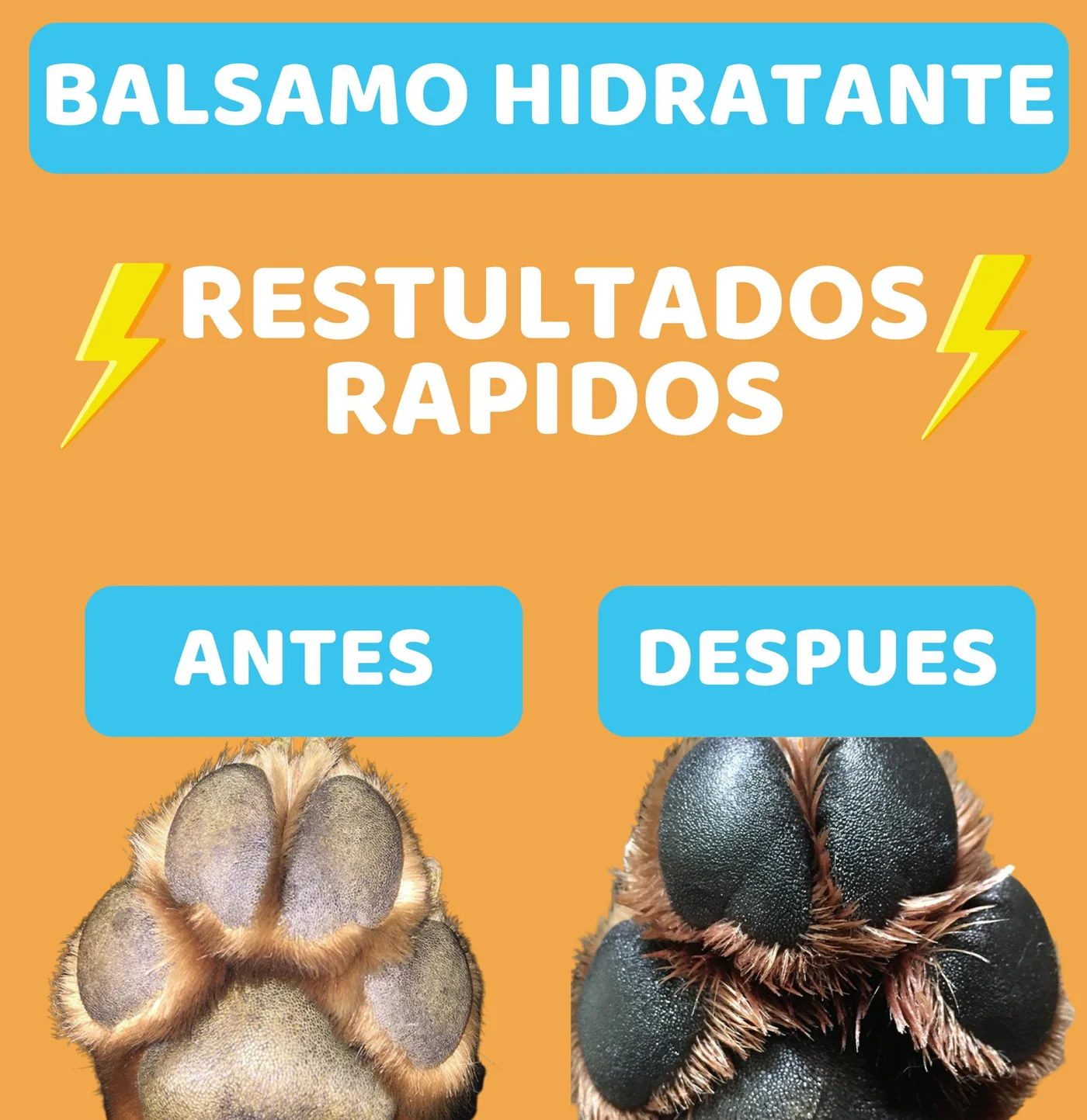 Pawls: Hydrating Paw Balm 2oz