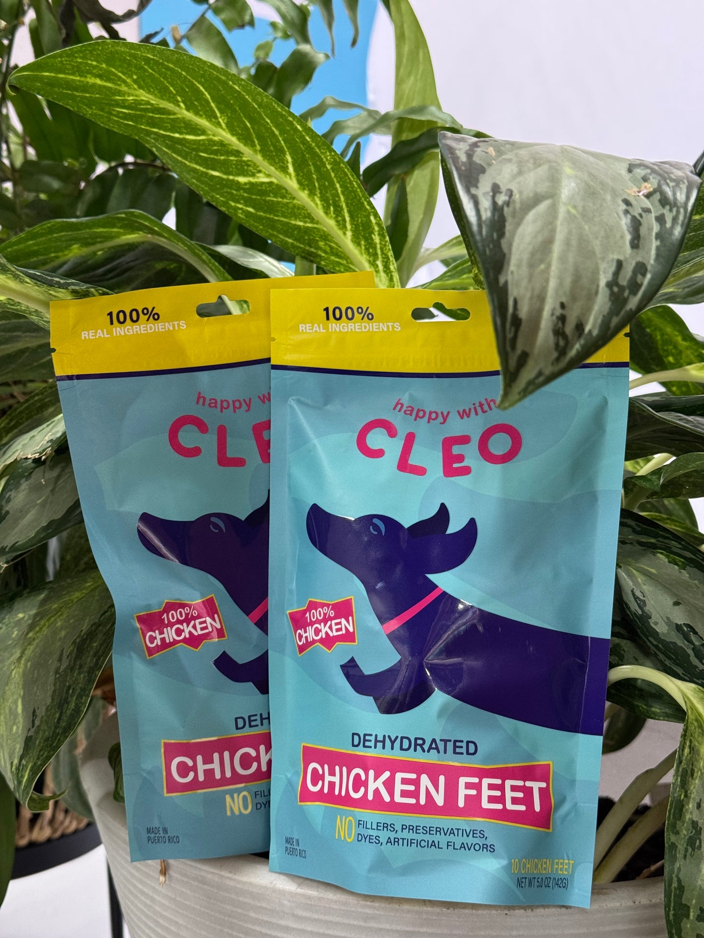 Happy With Cleo: Chicken Feet