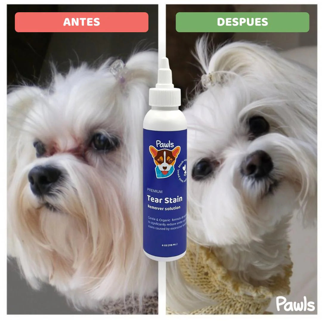Pawls: Tear Stain Remover
