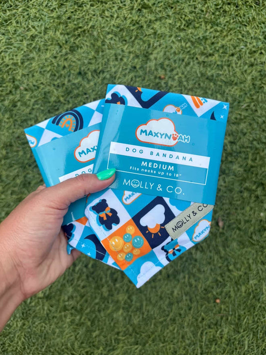 Maxynoah’s Dog Bandana