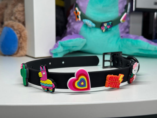 Charm Collar: Black