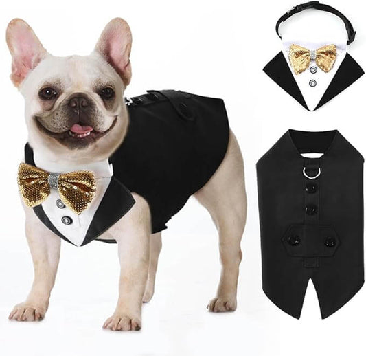 Gold 2pc Tuxedo
