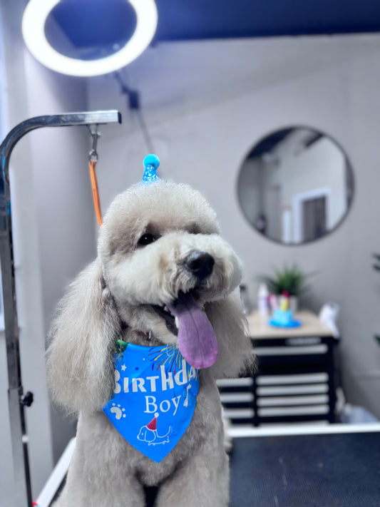 Birthday Bandana