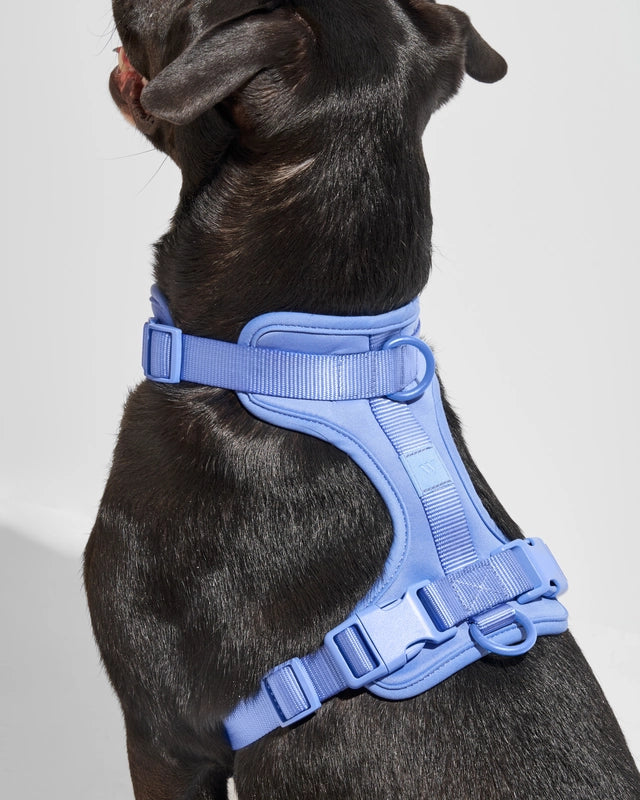 PVC Harness: Ocean Blue