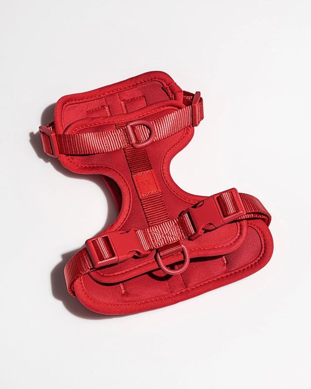 PVC Harness Red
