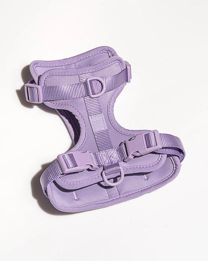 PVC Harness: Lilac