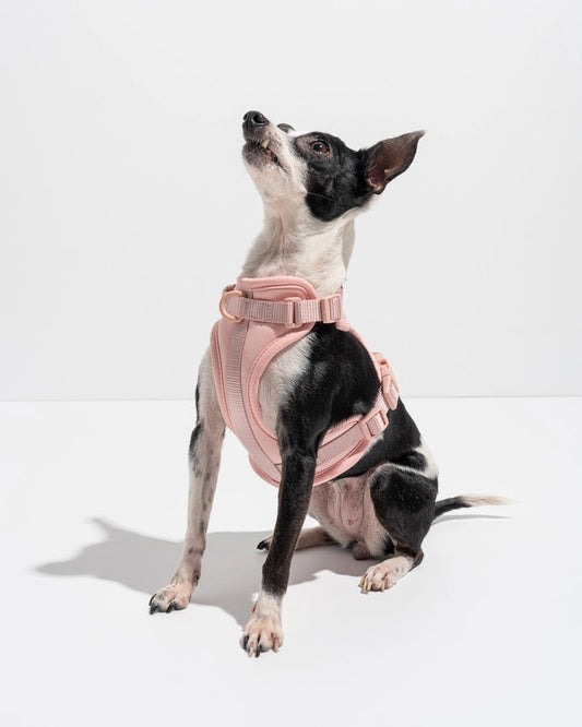 PVC Harness: Baby Pink