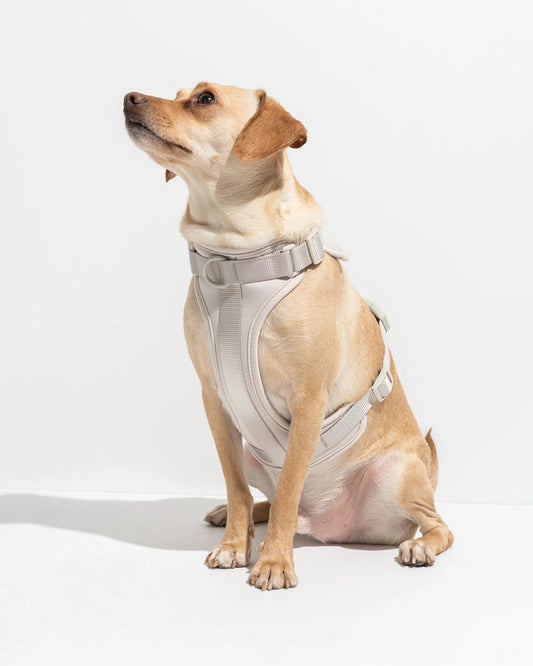 PVC Harness: Grey