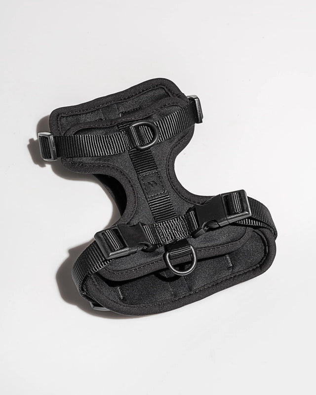 PVC Harness: Black