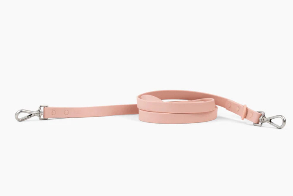PVC Leash M/L