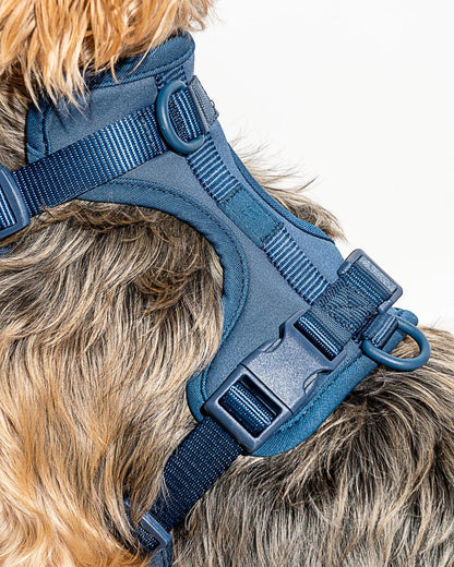 PVC Harness: Navy Blue
