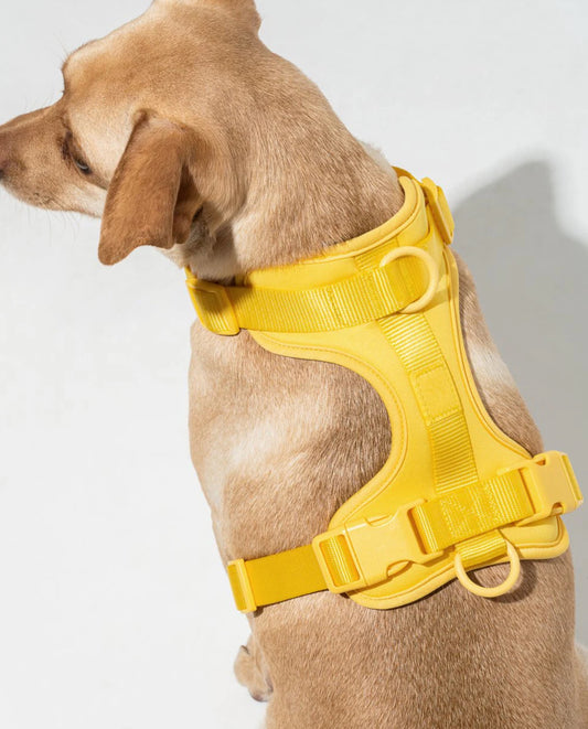 PVC Harness: Yellow