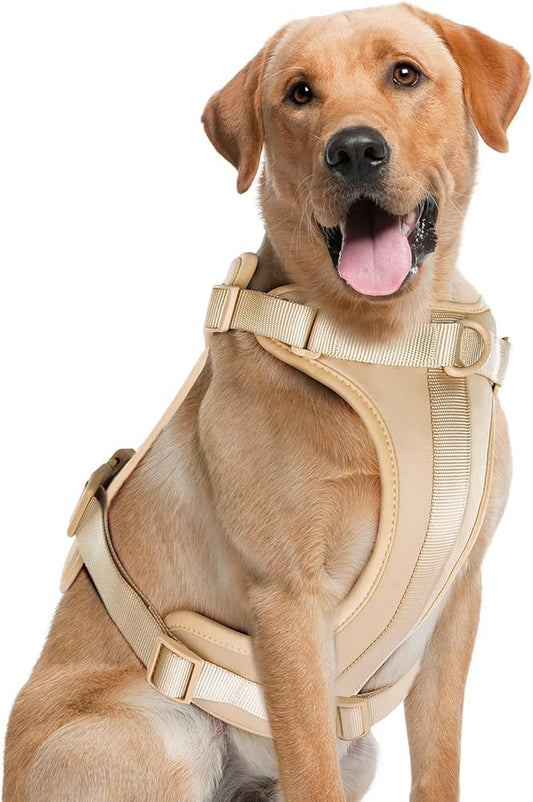 PVC Harness: Cream