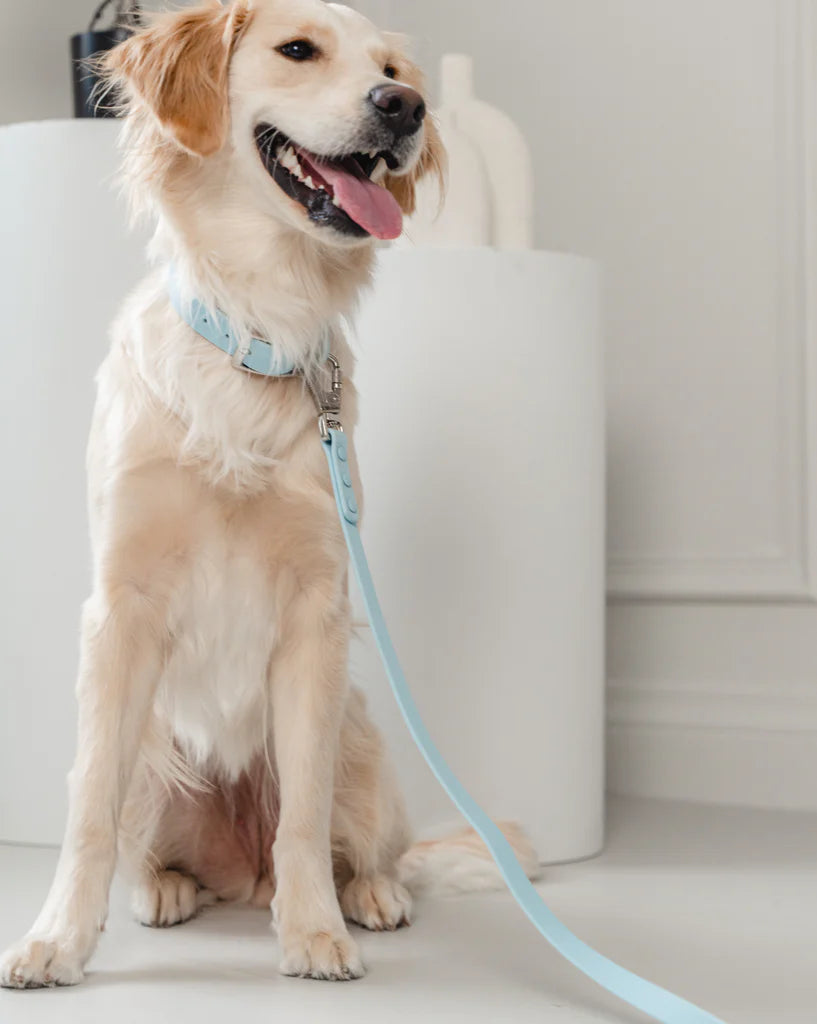 PVC Collar: Light Blue