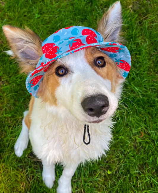 Bucket Hat: Strawberry