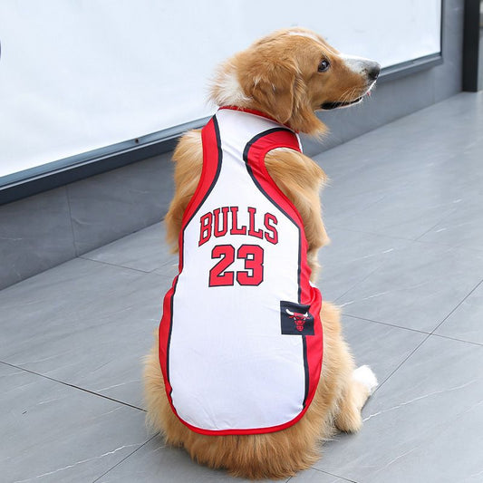 Jersey: Michael Jordan