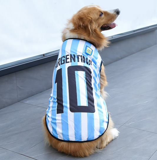 Jersey: Leo Messi