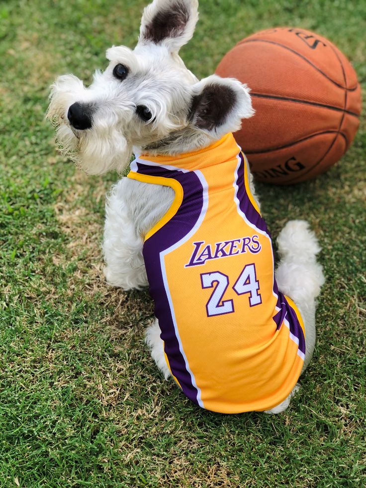 Jersey: Kobe Bryant