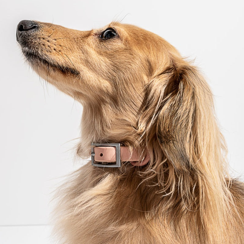 PVC Collar: Baby Pink