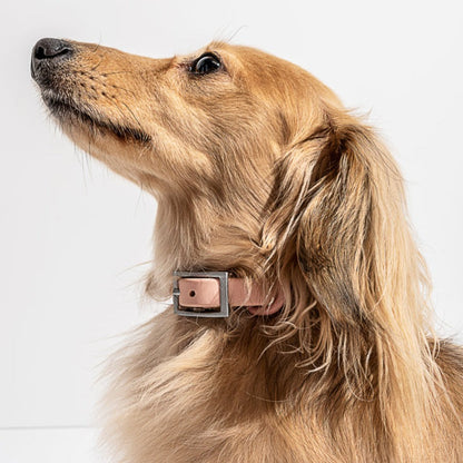 PVC Collar: Baby Pink