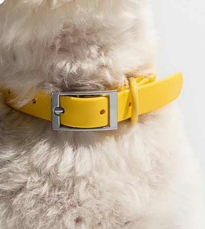 PVC Collar: Yellow