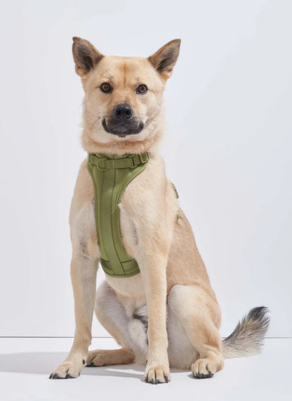 PVC Harness: Olive