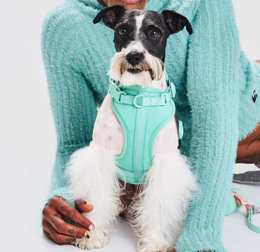PVC Harness: Mint