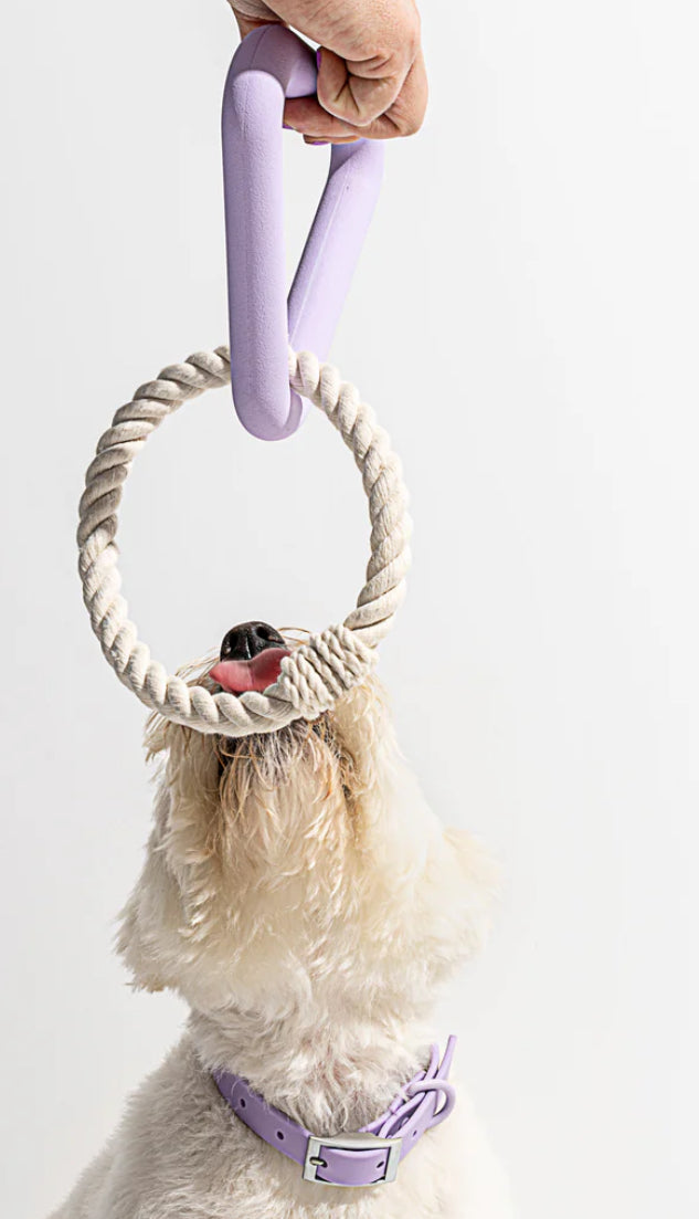 Triangle Rope