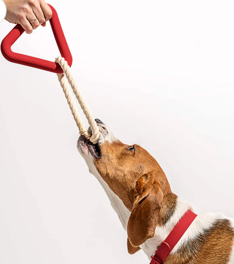 Triangle Rope