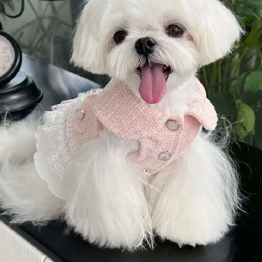 Tweed Dress: Pink