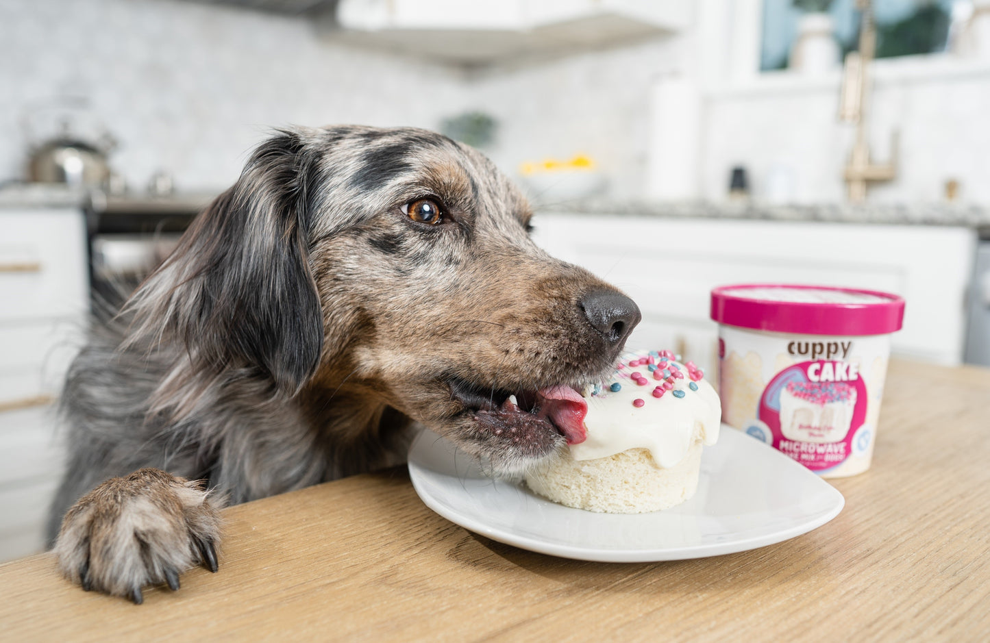 Cuppy Cake: Pupfetti Sprinkles