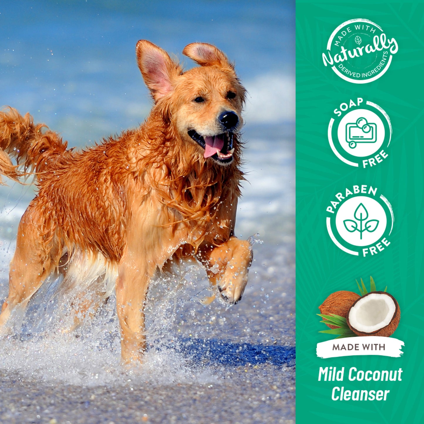 Tropiclean: Flea & Tick Shampoo