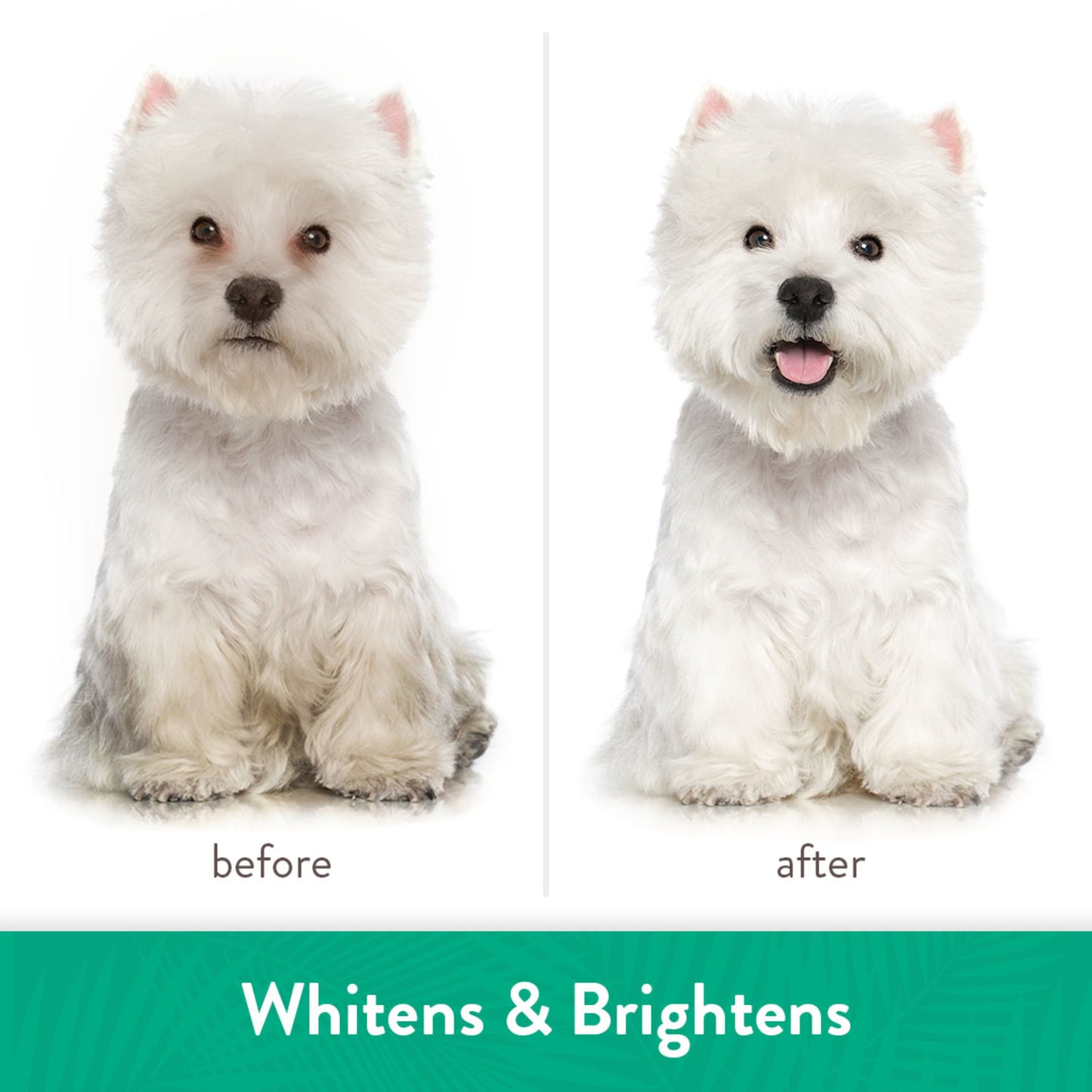 Tropiclean: Whitening Shampoo