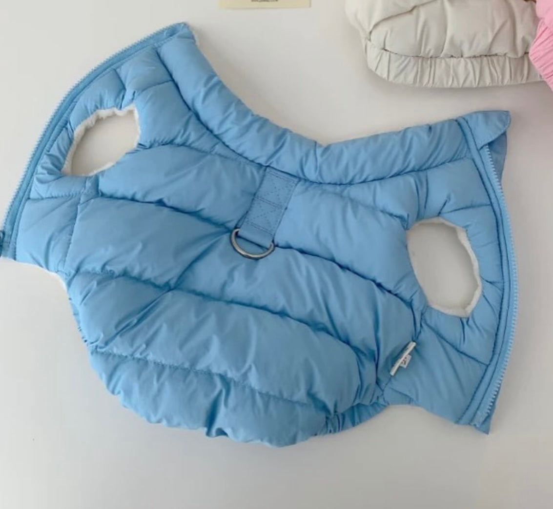Windbreaker: Blue