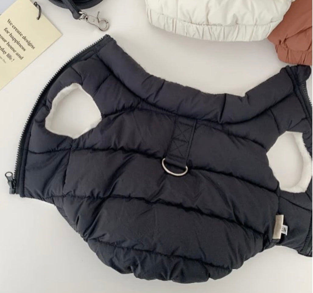 Windbreaker: Black